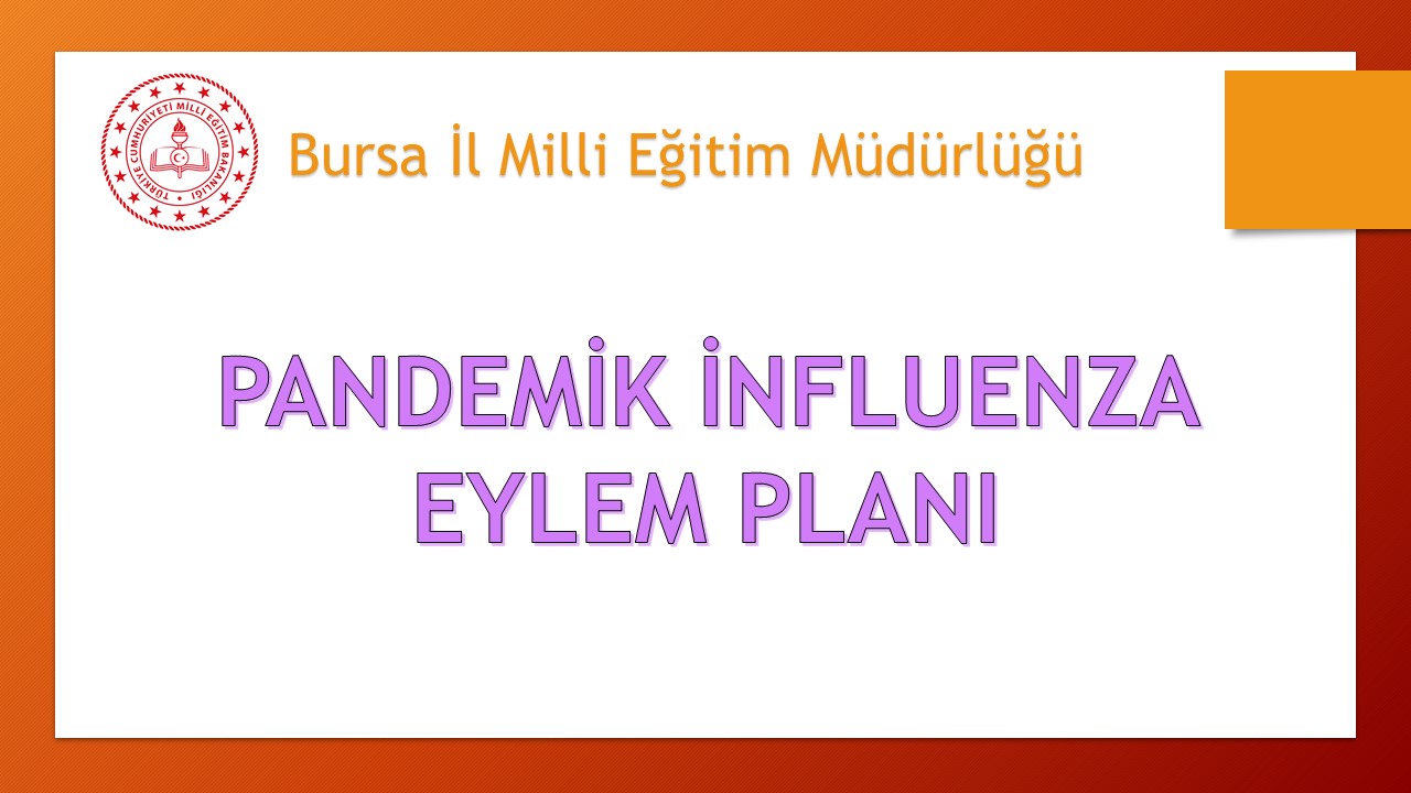 Bursa İl Milli Eğitim Müdürlüğü Pandemik İnfluenza Eylem Planı